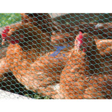 Chicken Raise Hexagonal Wire Mesh